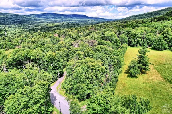a view of a lush green field
