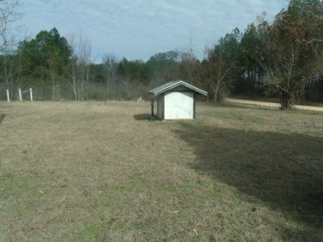 1669 Wilson Road Warrenton, GA 30828 - Photo 12 of 17 Right of front yard