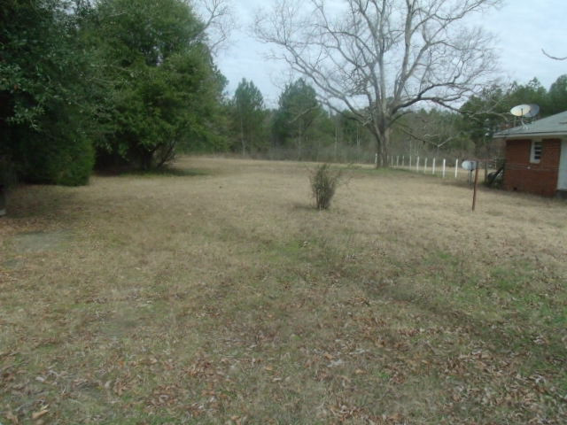 1669 Wilson Road Warrenton, GA 30828 - Photo 13 of 17 Backyard