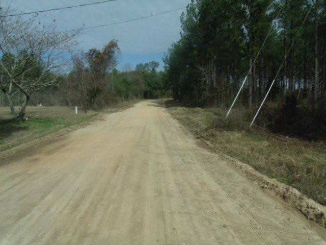 1669 Wilson Road Warrenton, GA 30828 - Photo 16 of 17 Street view