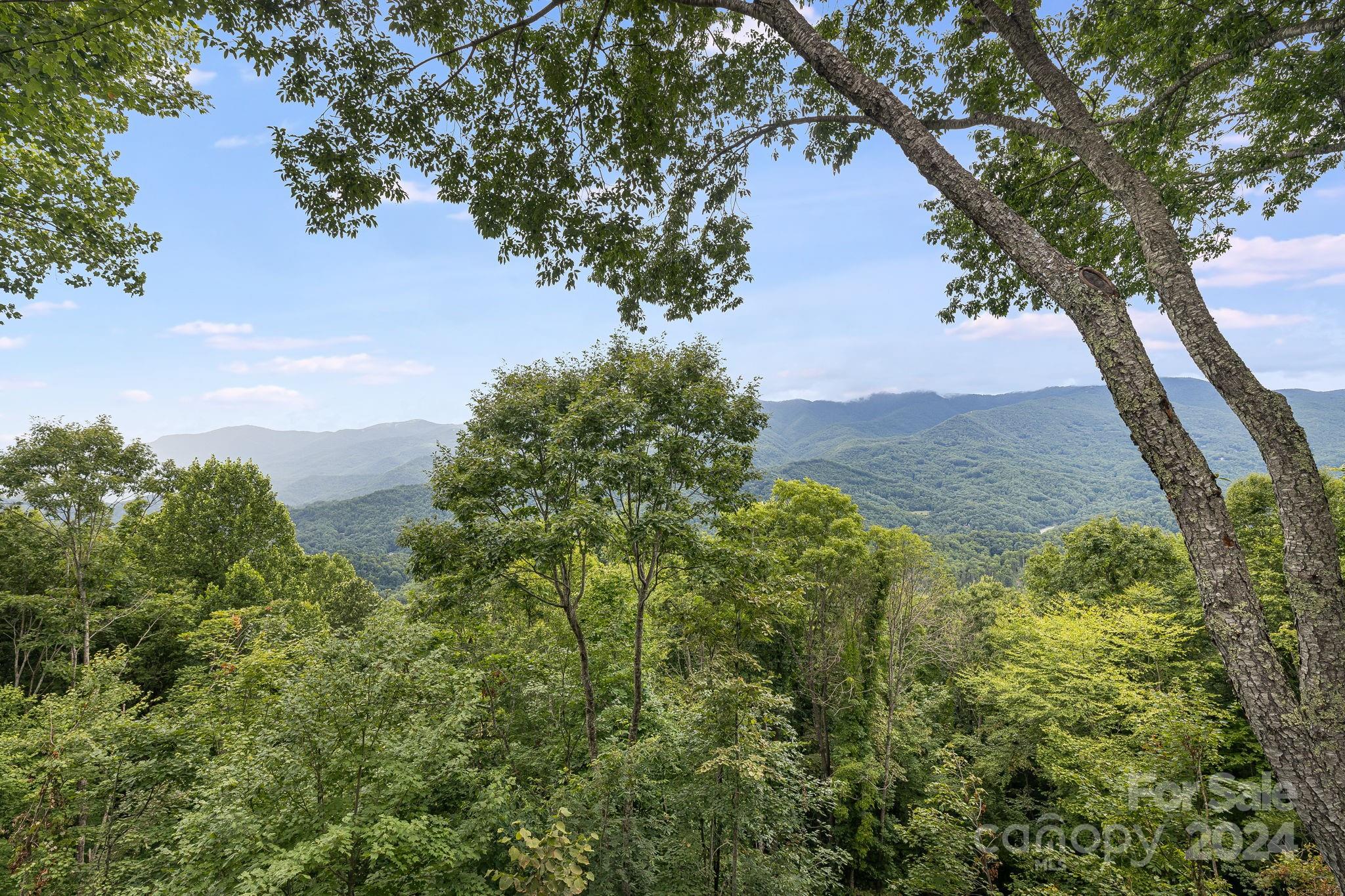 249 Cook House Road, Unit 208 Sylva, NC 28779 - Photo 4 of 48 Gallery Image 4