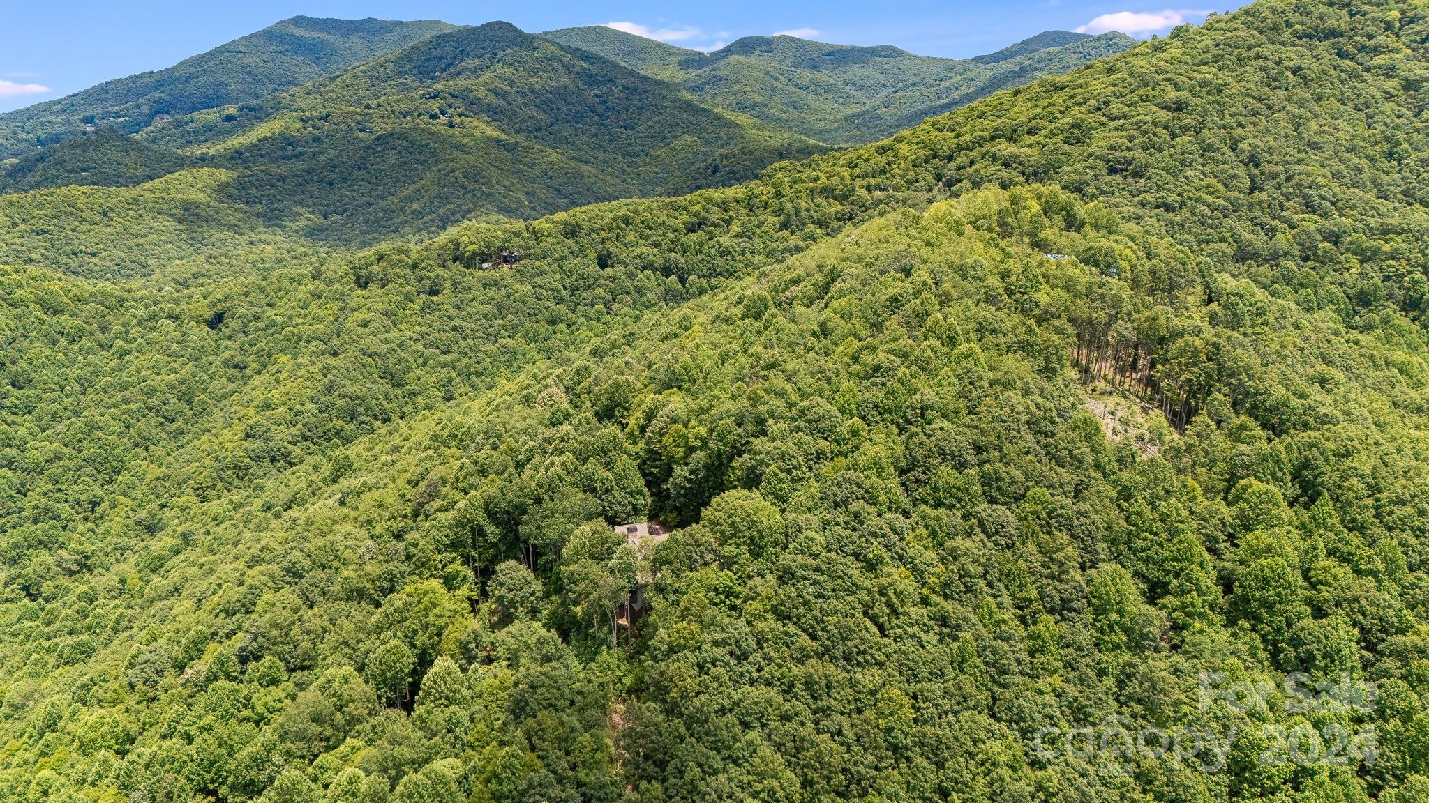 249 Cook House Road, Unit 208 Sylva, NC 28779 - Photo 48 of 48 Gallery Image 48