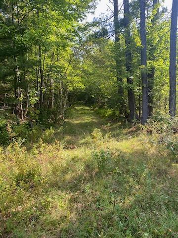 0 Pleasant River Road Milo, ME 04463 - Photo 7 of 26 IMG_20230902_111422