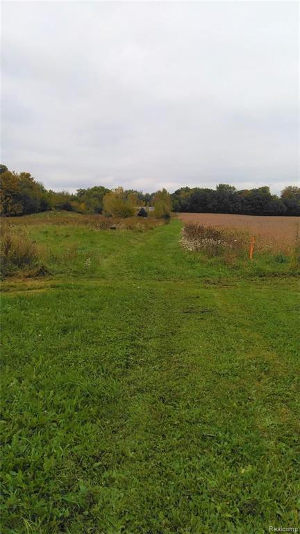 7955 Wildcat Road Ovid, MI 48866 - Photo 26 of 36
