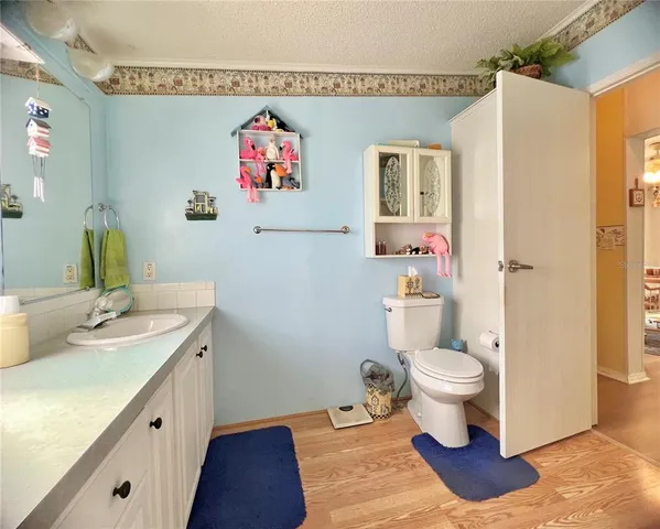 a bathroom with a sink mirror vanity and toilet