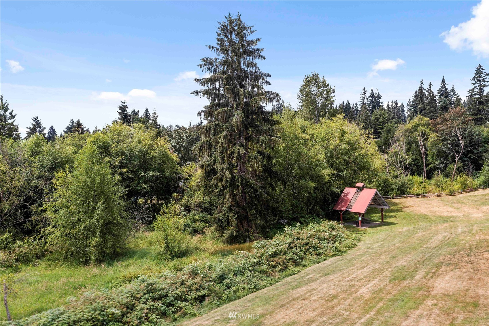20318 Bothell Everett Highway, Unit A202 Bothell, WA 98012 - Photo 25 of 28 a view of a garden with a tree