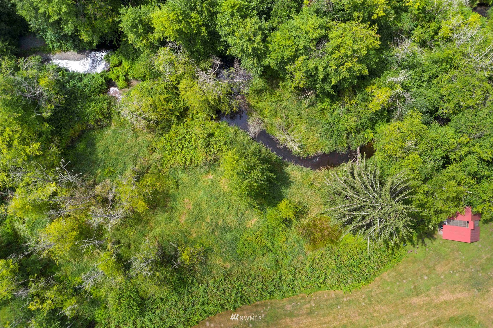 20318 Bothell Everett Highway, Unit A202 Bothell, WA 98012 - Photo 26 of 28 a view of a bunch of trees