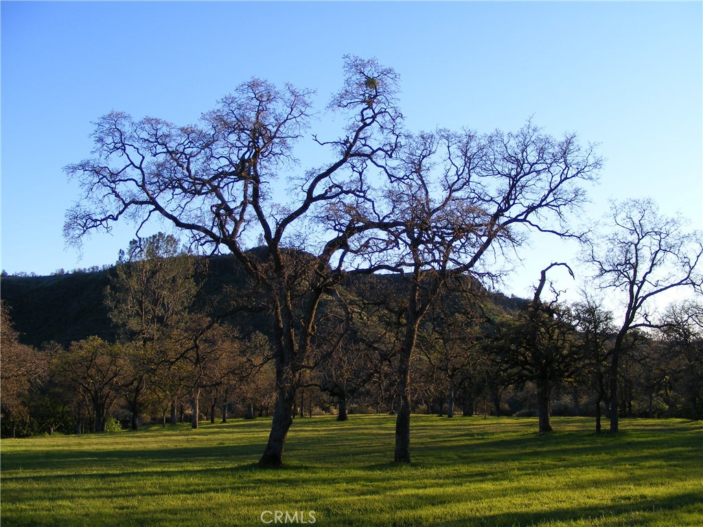 1985 Flatiron Road Chico, CA 95928 - Photo 56 of 67