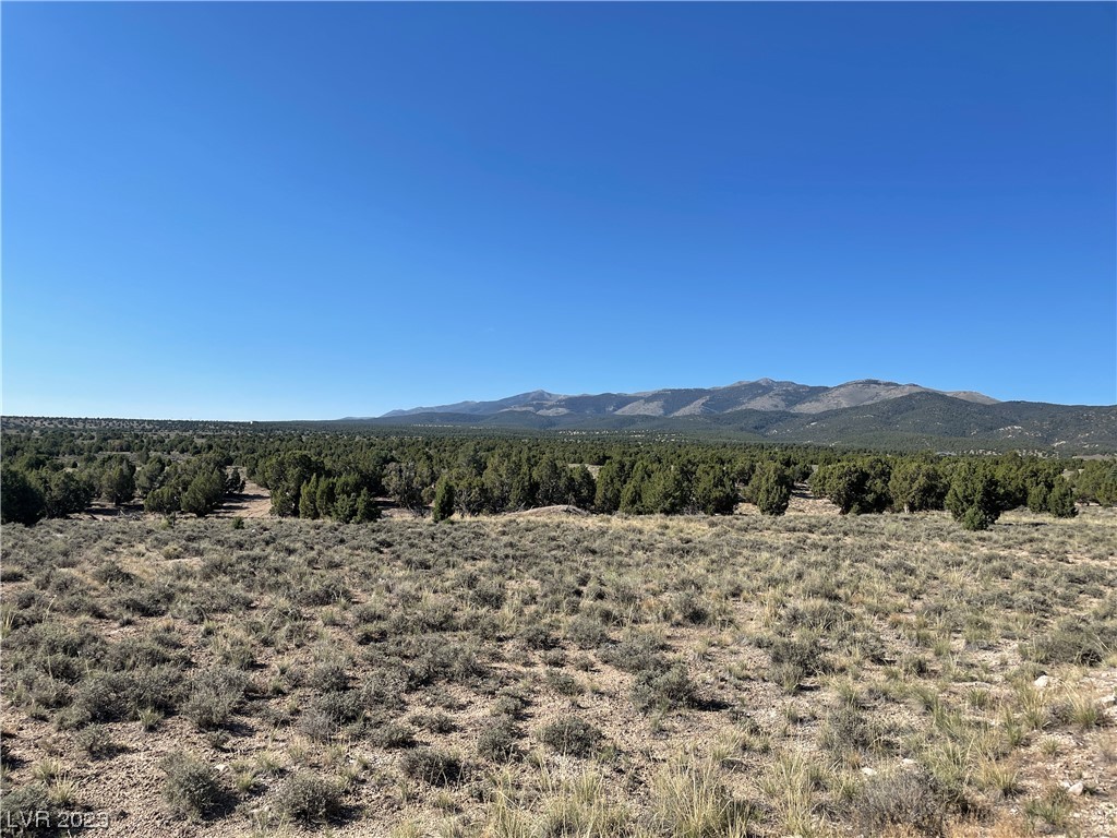 Looking south at Ward Mountain