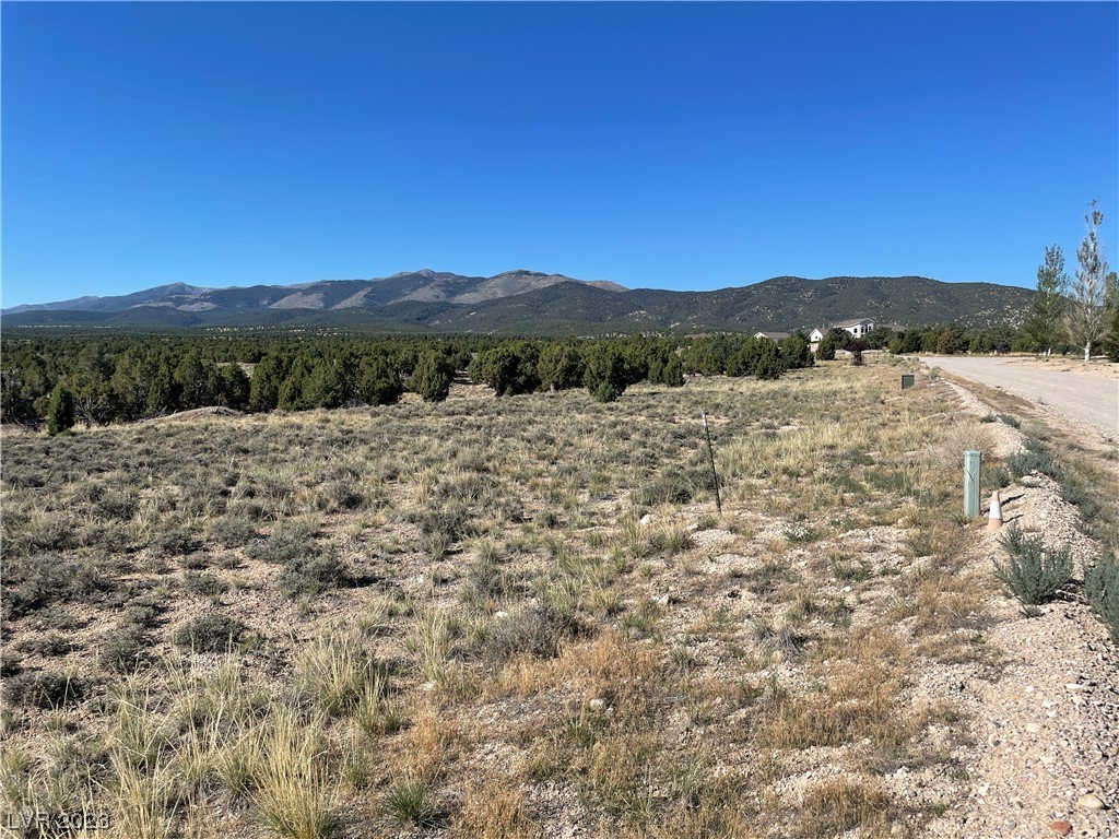 Juniper Hills Drive Ely, NV 89301 - Photo 2 of 6 South West
