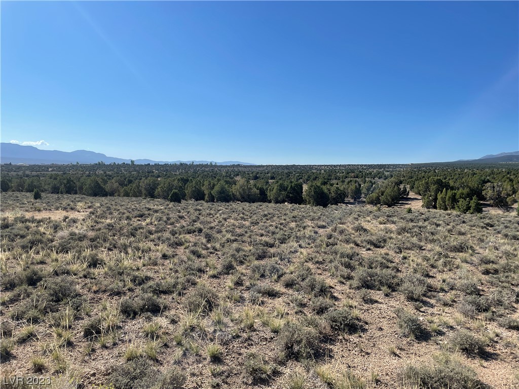 Juniper Hills Drive Ely, NV 89301 - Photo 3 of 6 South View