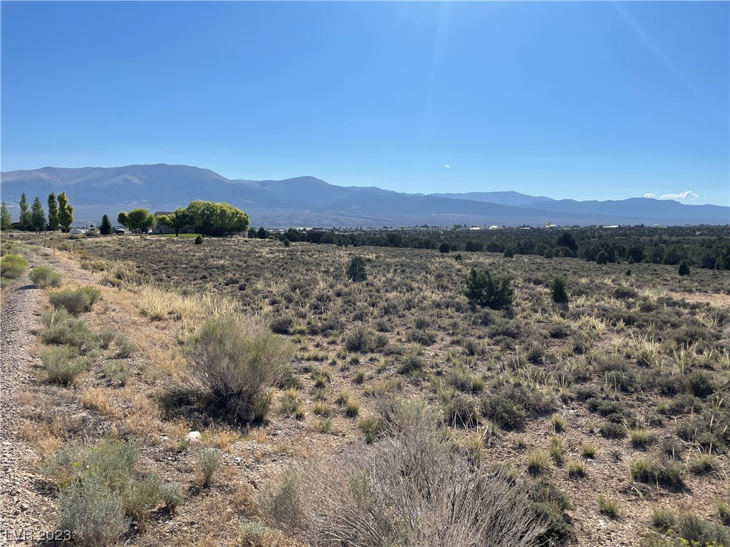 Juniper Hills Drive Ely, NV 89301 - Photo 4 of 6 East