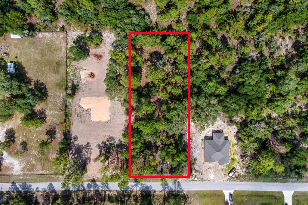 Southwest Viola Court Dunnellon, FL 34431 - Photo 2 of 9