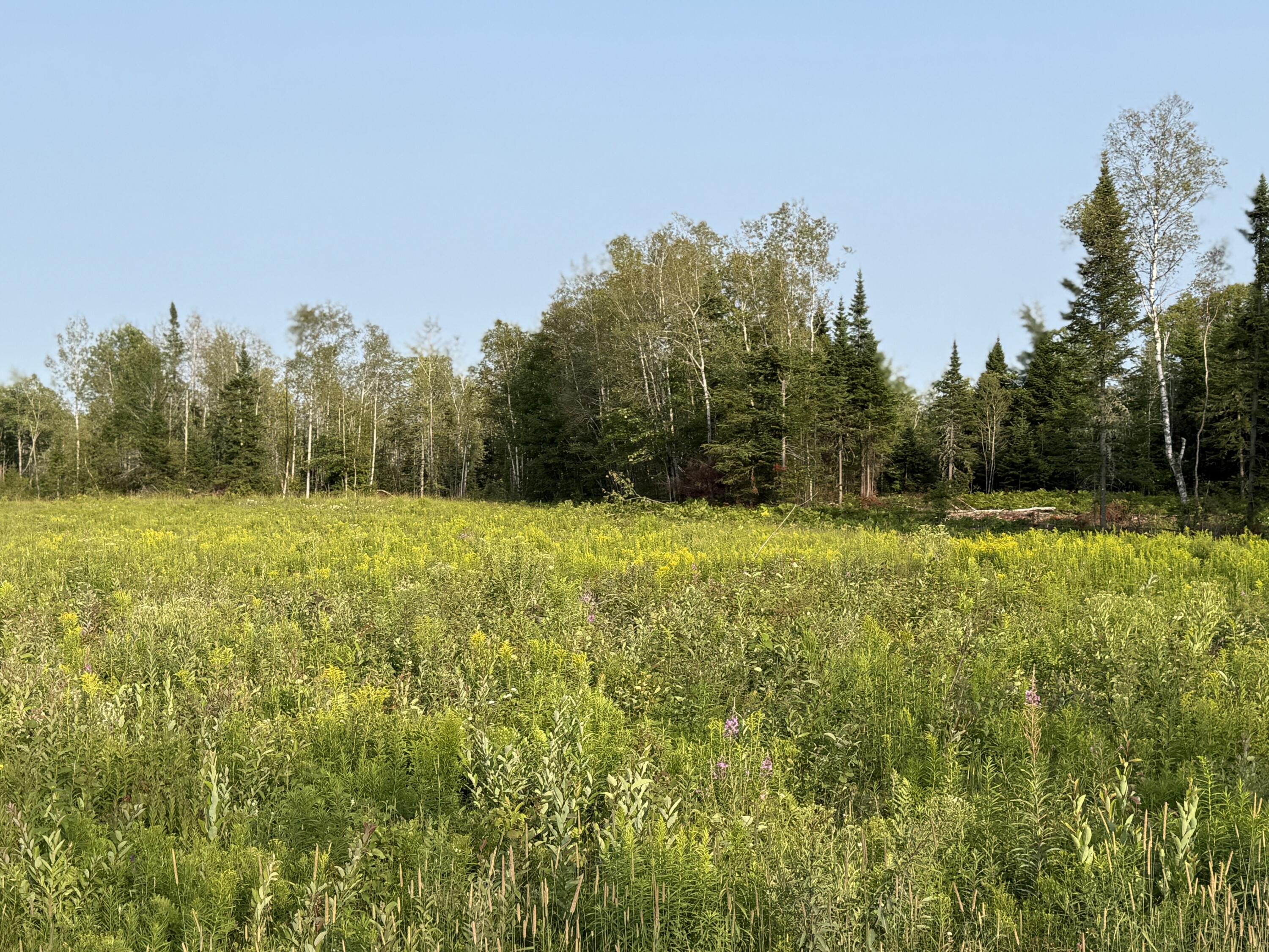 M19-l57 Lavertu Road St. David, ME 04773 - Photo 15 of 22 IMG_1235