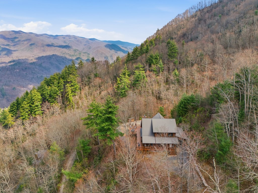 830 Noon Day Sun Ridge Topton, NC 28781 - Photo 5 of 59