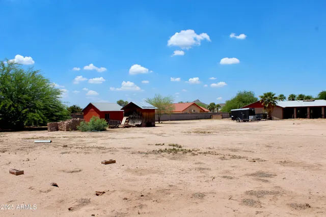 a view of palm trees