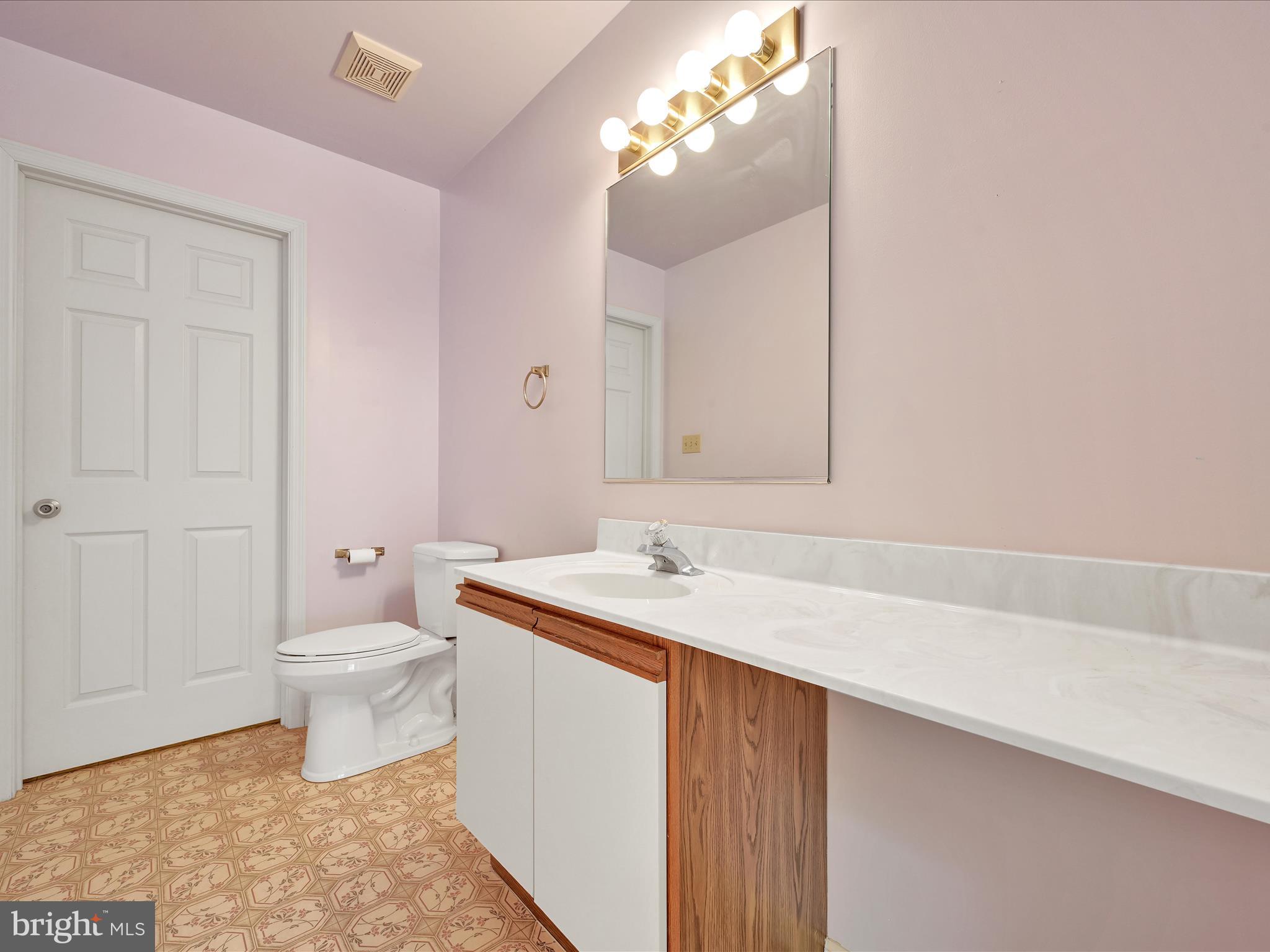 130 Pinnacle Point Drive Lancaster, PA 17601 - Photo 12 of 28 Bathroom
