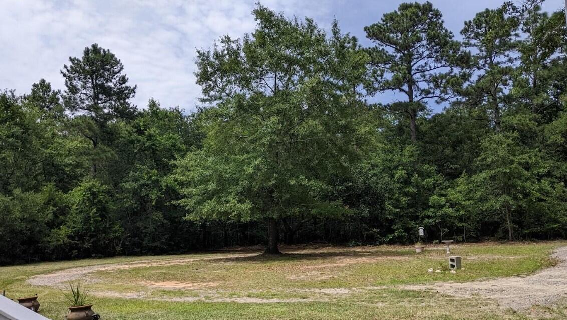 4127 Vaucluse Road Aiken, SC 29801 - Photo 17 of 44