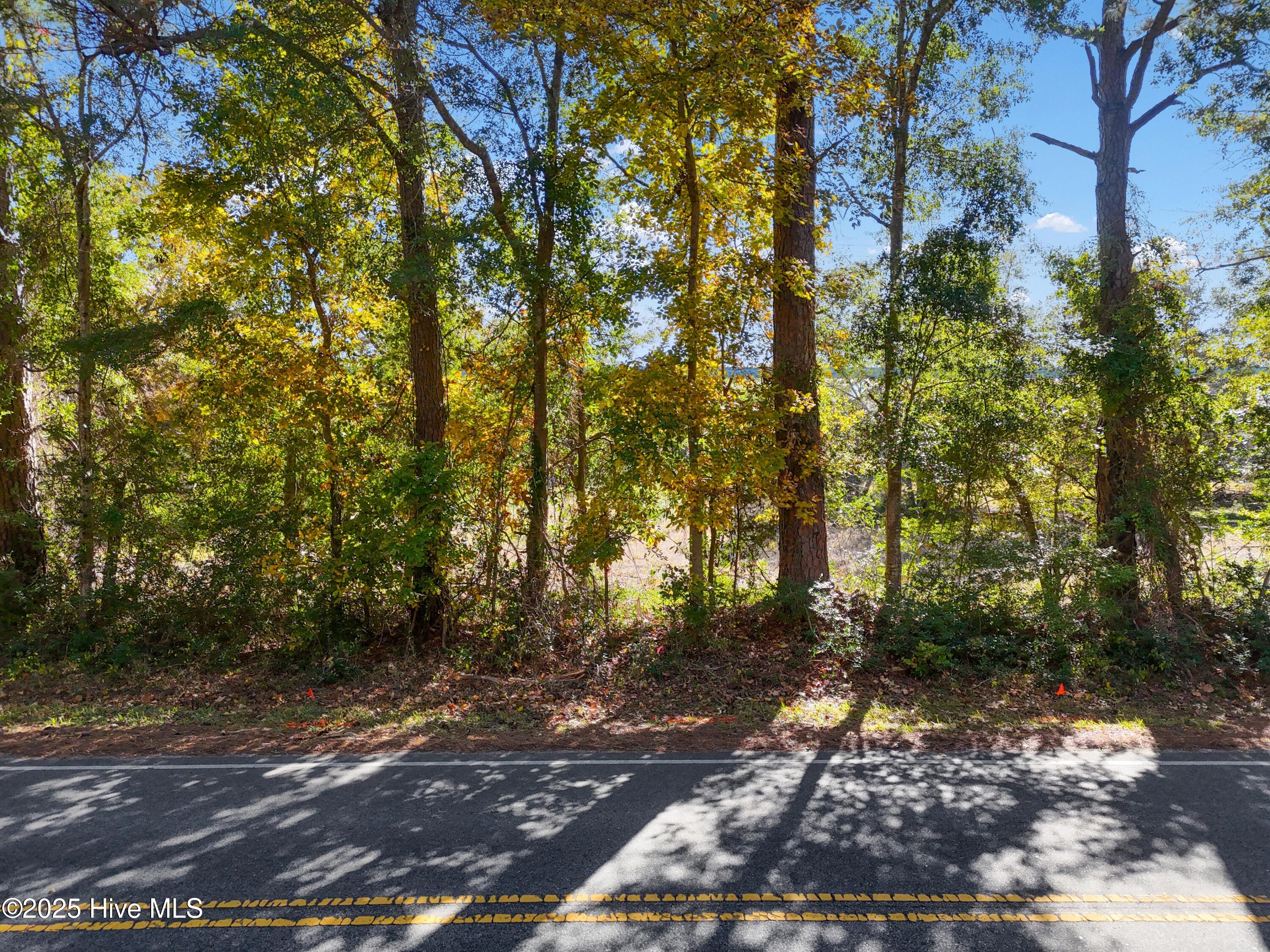 1.01-acres Boones Neck Road Southwest Supply, NC 28462 - Photo 4 of 5 3375BoonesNeckRdSW - 1