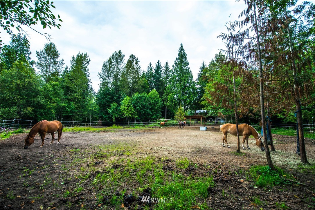 13219 Odell Road Northeast Duvall, WA 98019 - Photo 30 of 32 Gallery Image 30