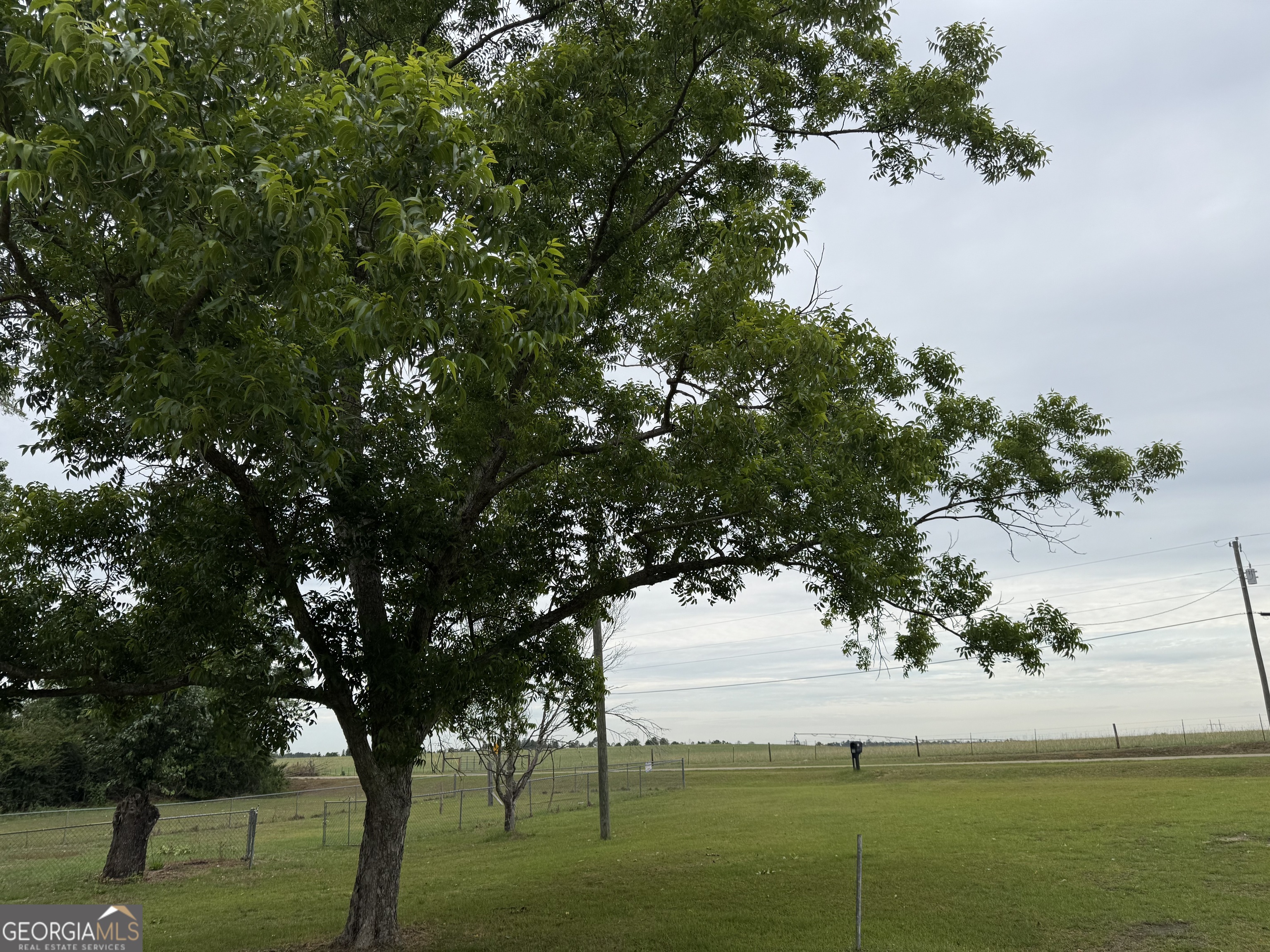 903 Sam Beasley Road Uvalda, GA 30473 - Photo 10 of 10