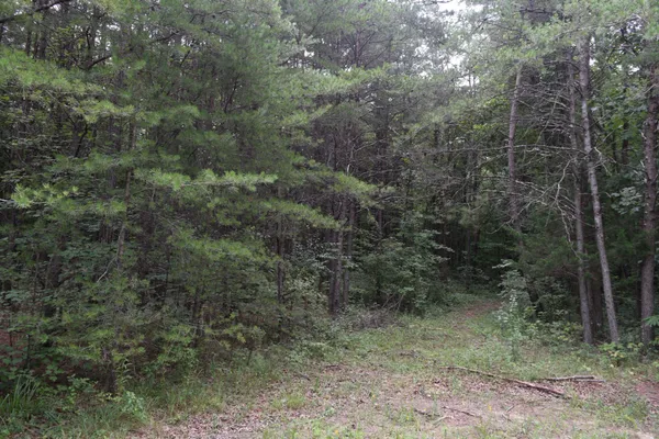 $2,400,000 | 16226 Highway 50, Altamont, TN 37301
