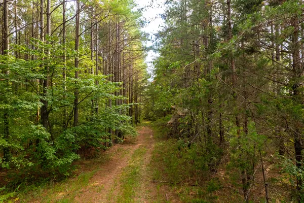 $2,400,000 | 16226 Highway 50, Altamont, TN 37301