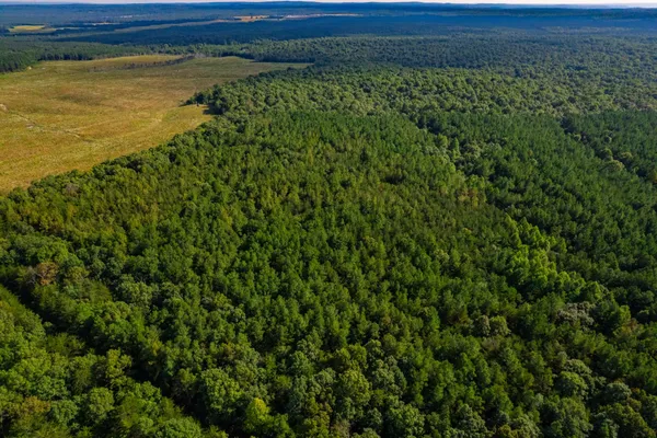 $2,400,000 | 16226 Highway 50, Altamont, TN 37301