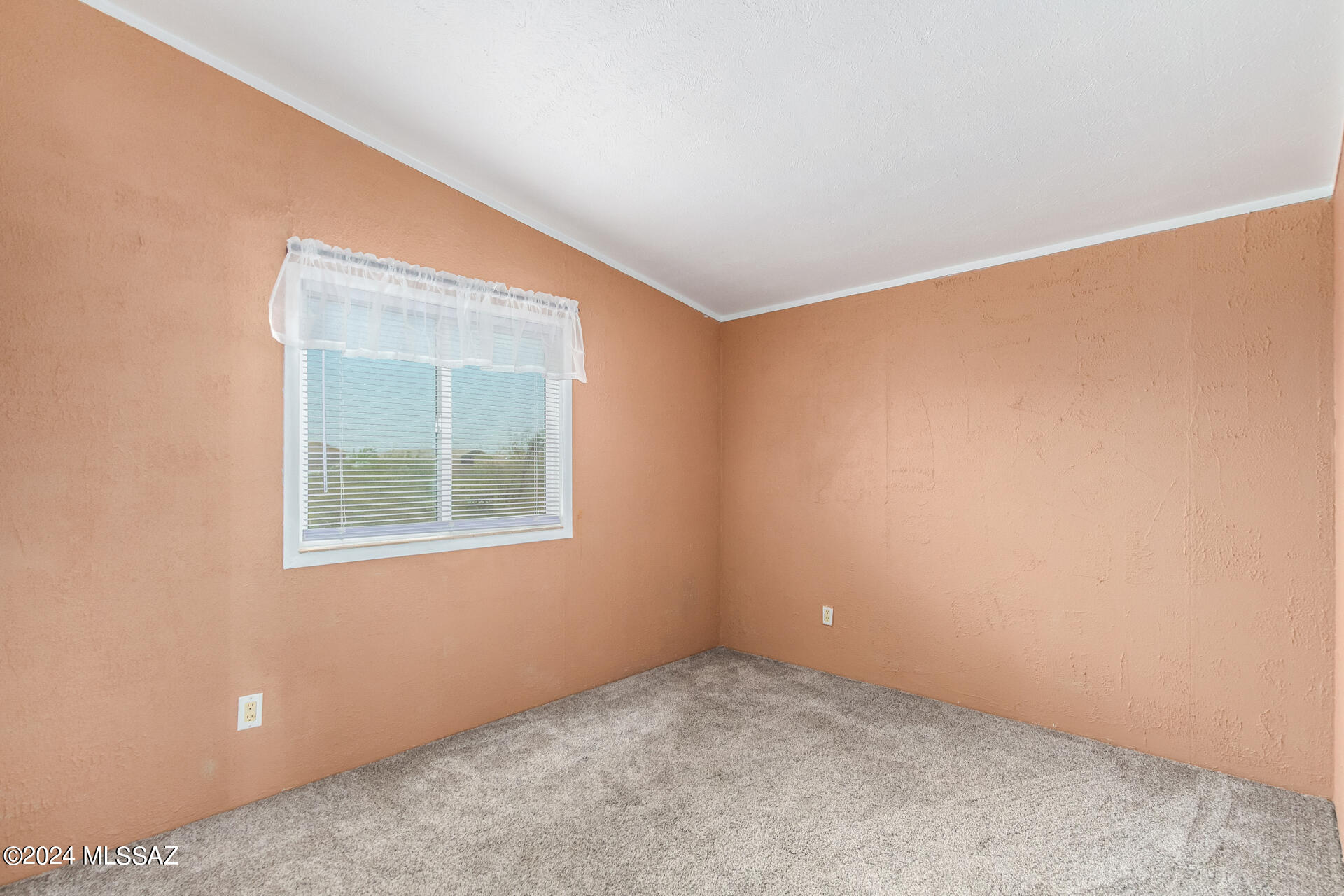 6871 West Bopp Road Tucson, AZ 85735 - Photo 24 of 30