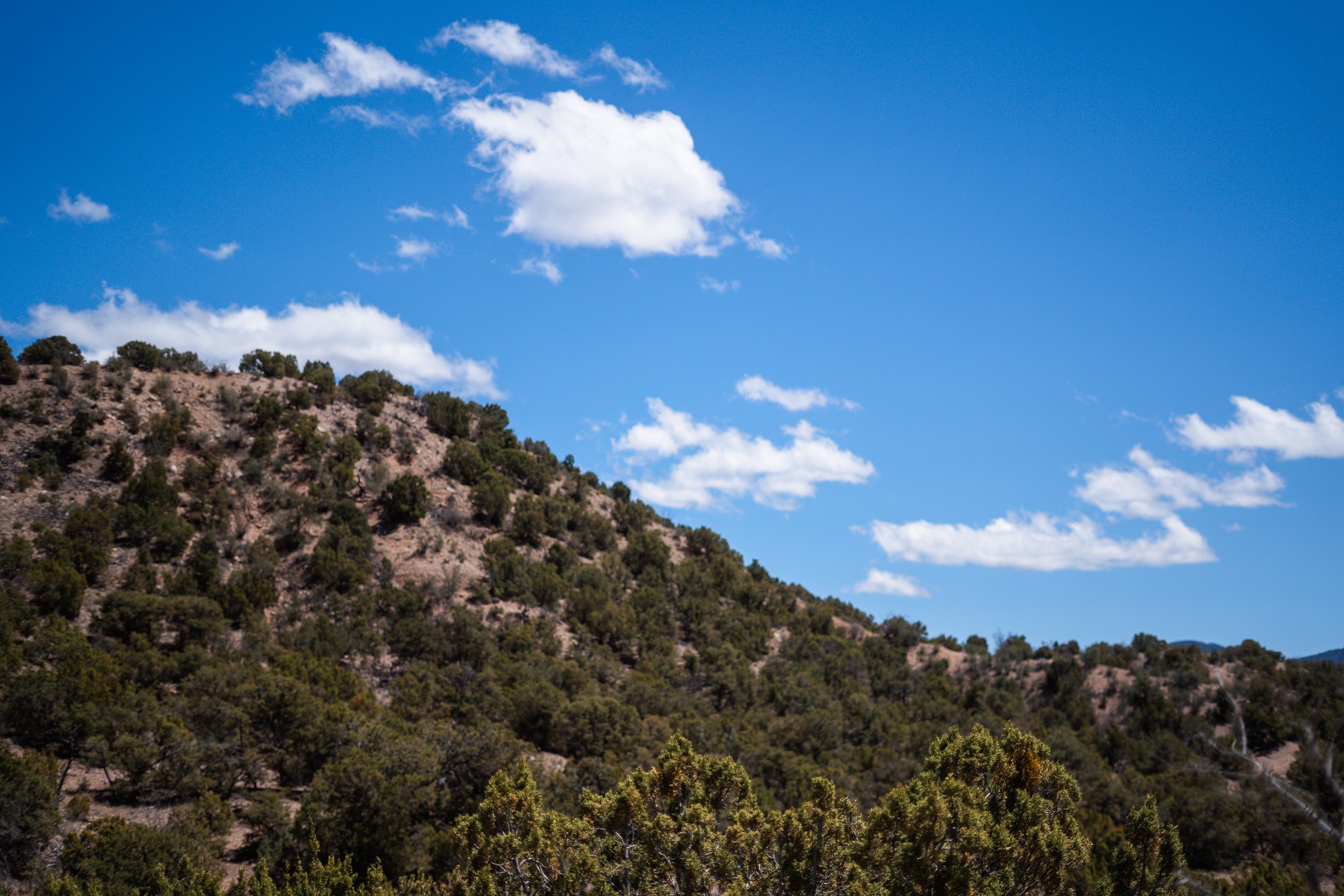 67-acres Red Ridge Santa Fe, NM 87501 - Photo 31 of 40 North Lot