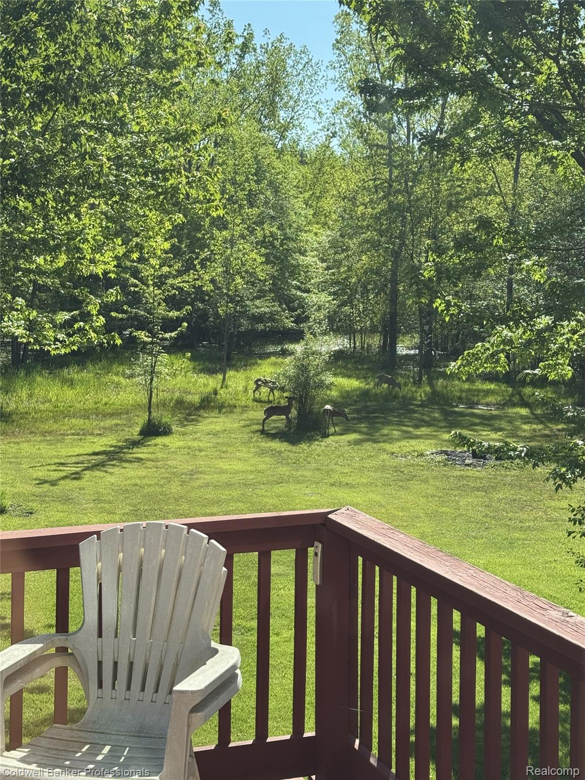 4090 North Fordney Road Hemlock, MI 48626 - Photo 6 of 47 IMG_20260526_104052.jpg
