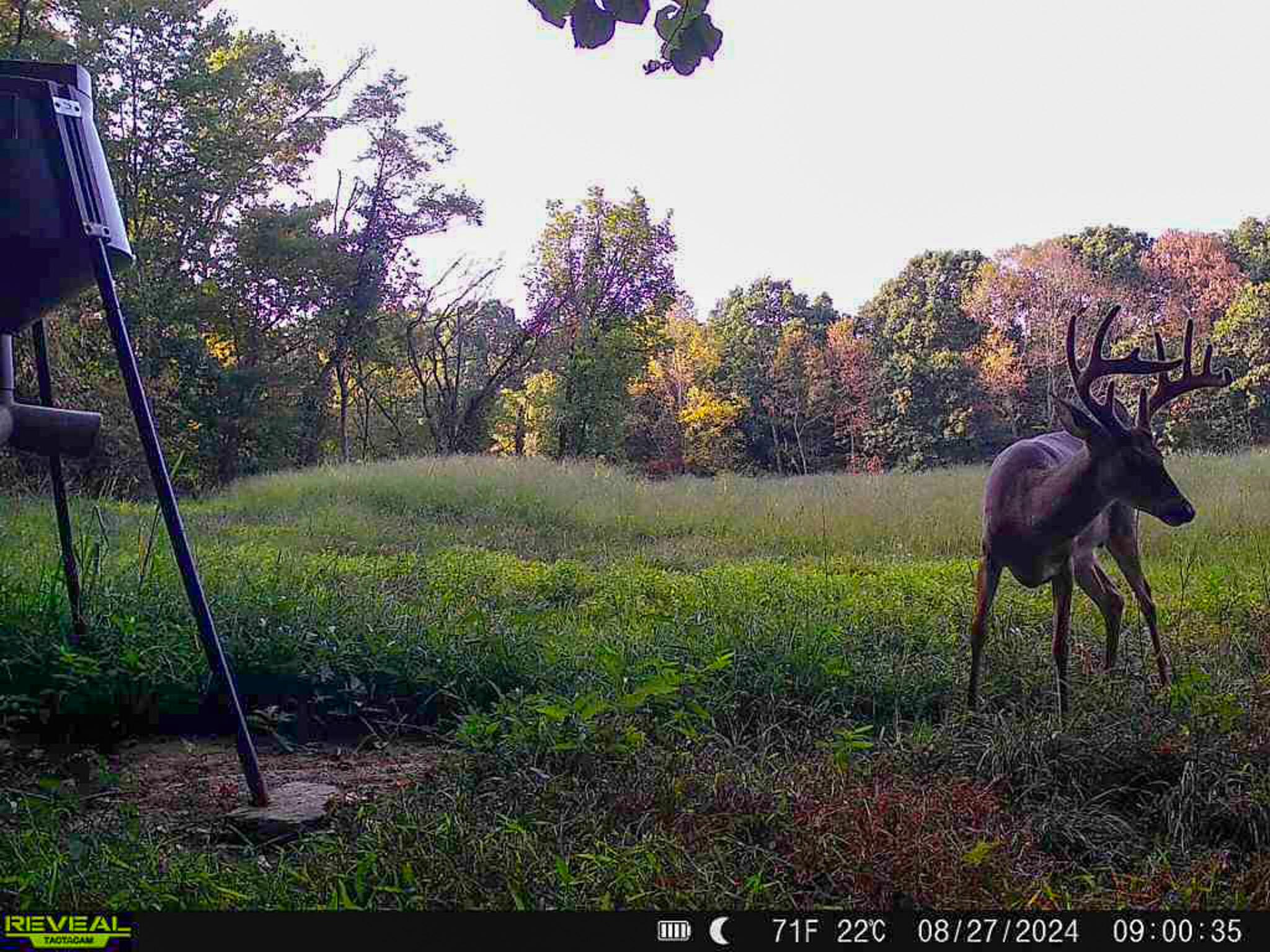 5230 Null Road Coolville, OH 45723 - Photo 47 of 54 Long fork rd.-83