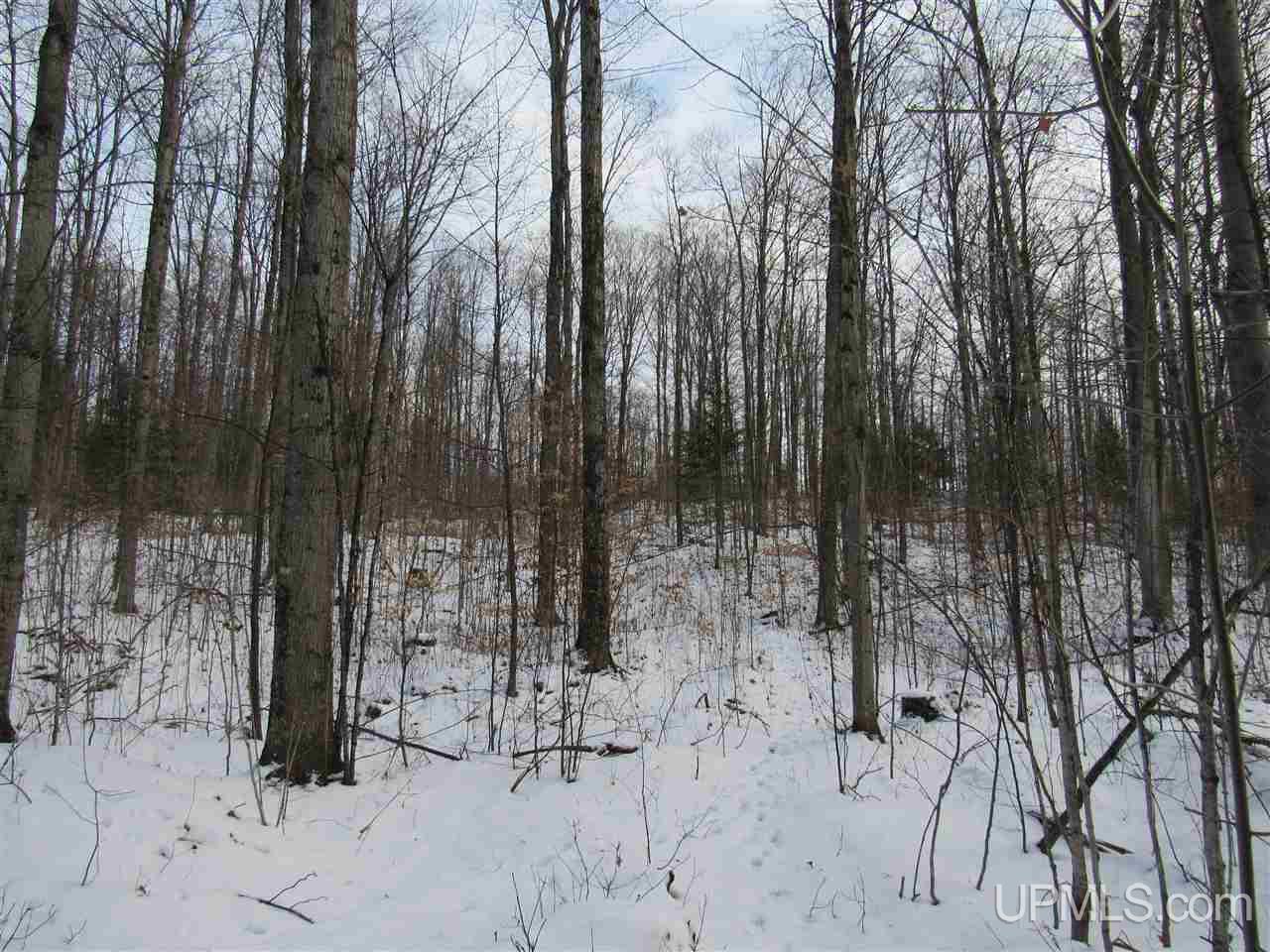 16922 29.5 Road Cooks, MI 49817 - Photo 25 of 33