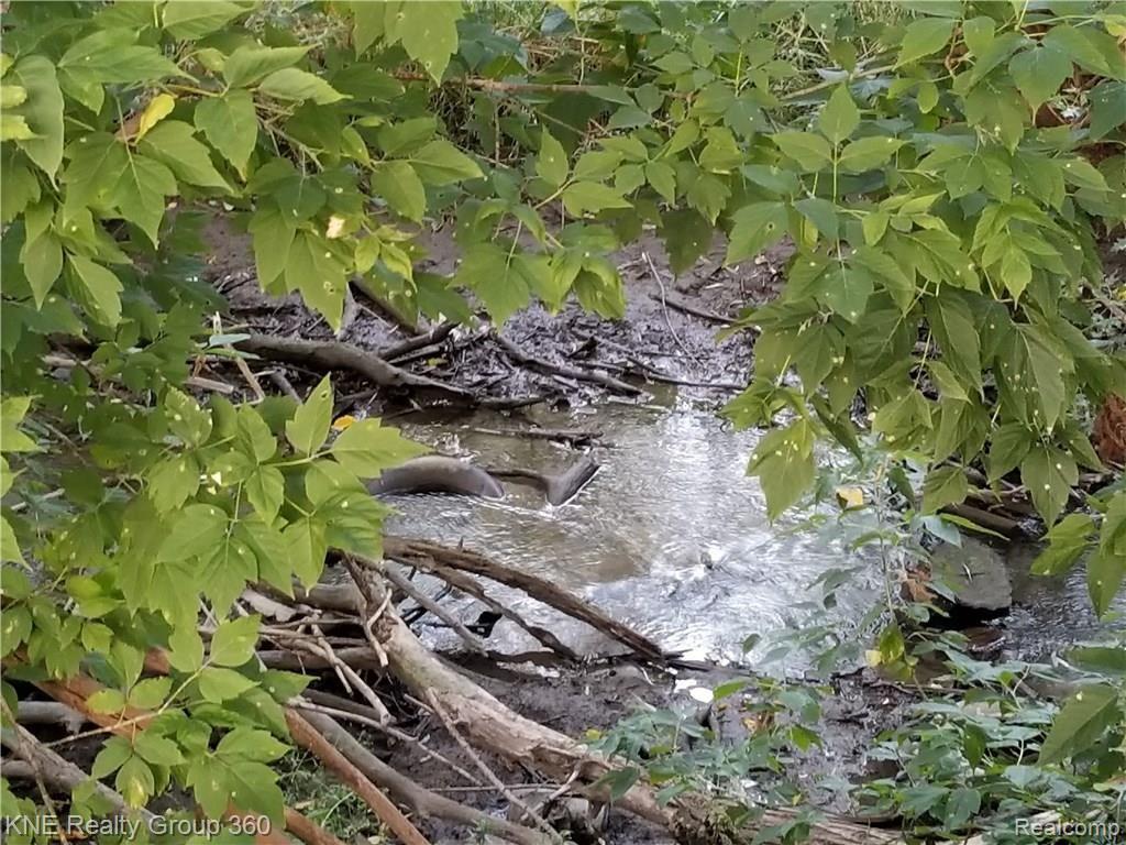 18488 Inkster Road Redford, MI 48240 - Photo 28 of 36 bubblingCreek.jpg
