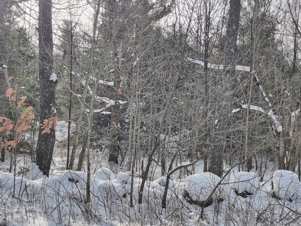 a view of outdoor space and garden