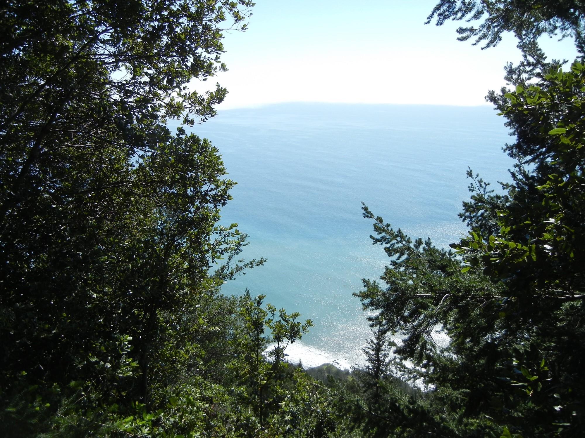 10 Gale Point Whitethorn, CA 95589 - Photo 17 of 20 McKee Creek surf view