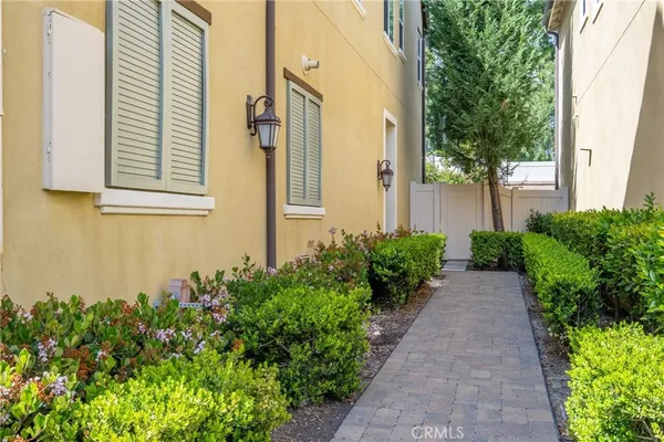 a view of a yard with flower plants
