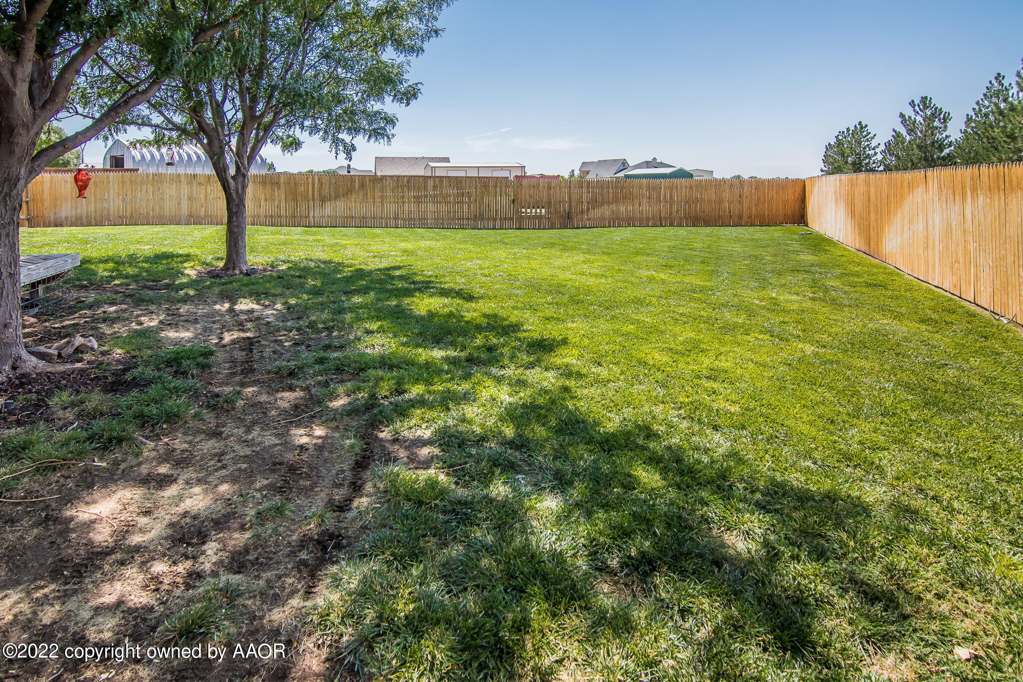 8451 Kemper Road Canyon, TX 79015 - Photo 22 of 22 web_Back Yard (2)