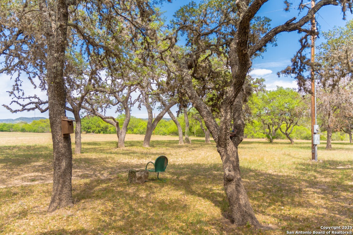 950 River Road Utopia, TX 78884 - Photo 8 of 31 Gallery Image 8
