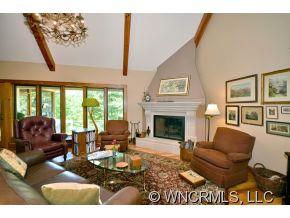259 Holly Ridge Lane Tryon, NC 28782 - Photo 3 of 24