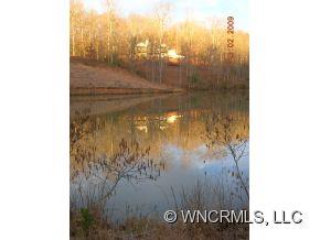 259 Holly Ridge Lane Tryon, NC 28782 - Photo 21 of 24