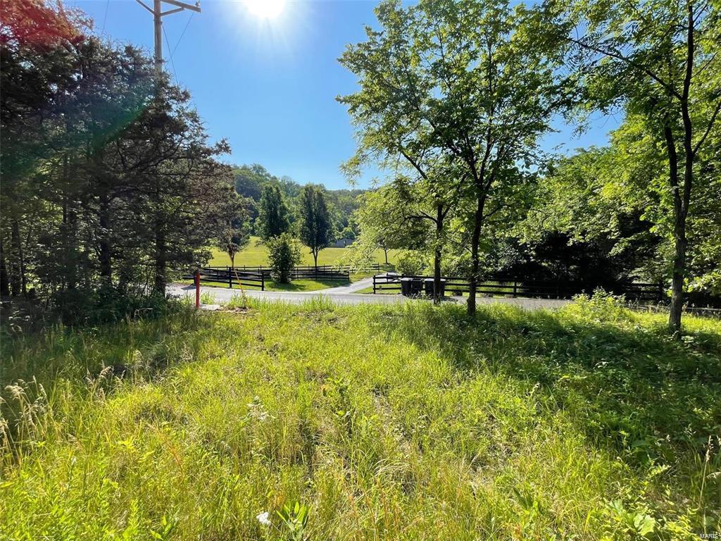 3107 Bouquet Road Glencoe, MO 63038 - Photo 1 of 7