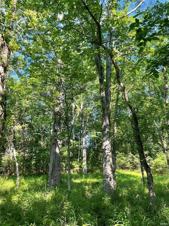 3107 Bouquet Road Glencoe, MO 63038 - Photo 3 of 7