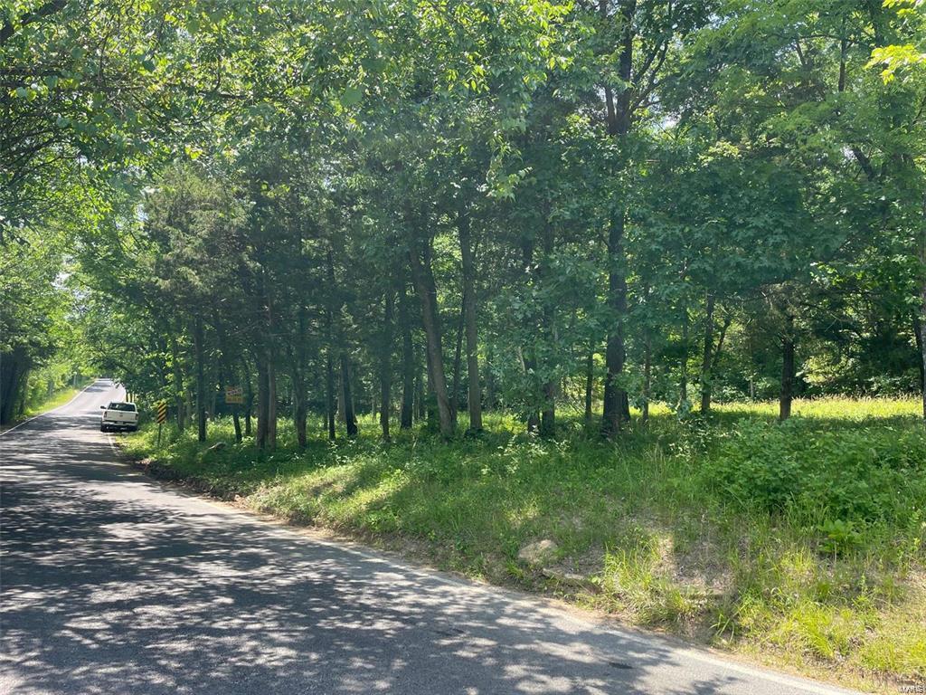 3107 Bouquet Road Glencoe, MO 63038 - Photo 4 of 7