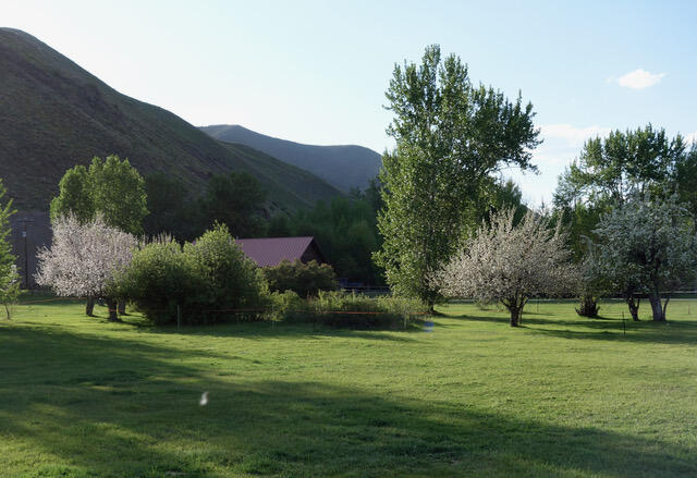 342 Broadford Road Blaine County, ID 83313 - Photo 14 of 32 House on acreage