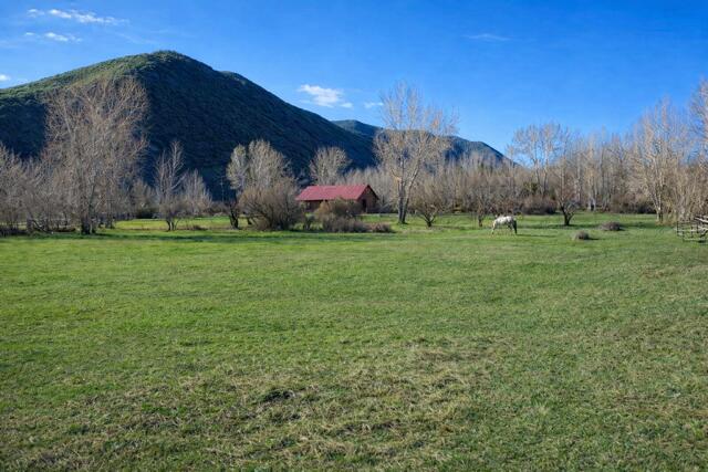 342 Broadford Road Blaine County, ID 83313 - Photo 15 of 32 house in background, horse (1)