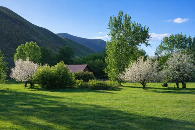 342 Broadford Road Blaine County, ID 83313 - Photo 16 of 32 Mountain views