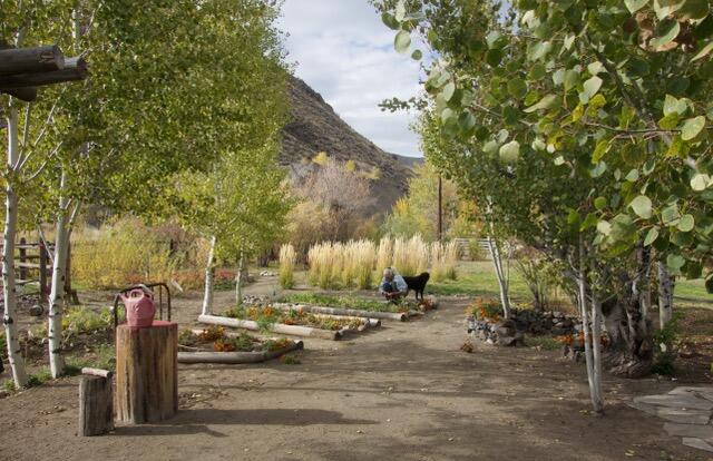 342 Broadford Road Blaine County, ID 83313 - Photo 25 of 32 garden area