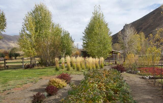 342 Broadford Road Blaine County, ID 83313 - Photo 27 of 32 Views all around