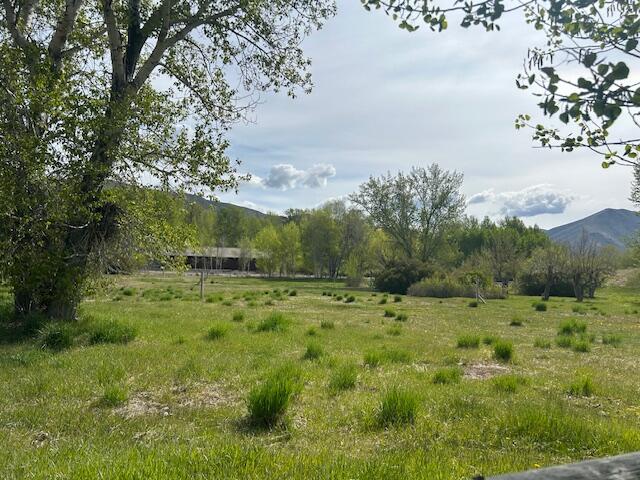 342 Broadford Road Blaine County, ID 83313 - Photo 30 of 32 Pasture